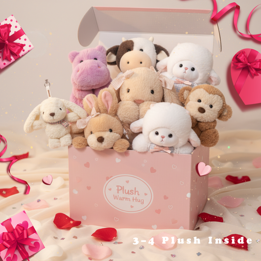 Valentine’s Mystery Plush Box — Surprise Your Loved One