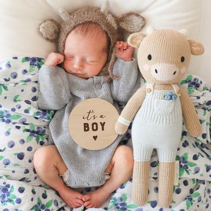 Hand-Knit Stuffed Asher the Cow