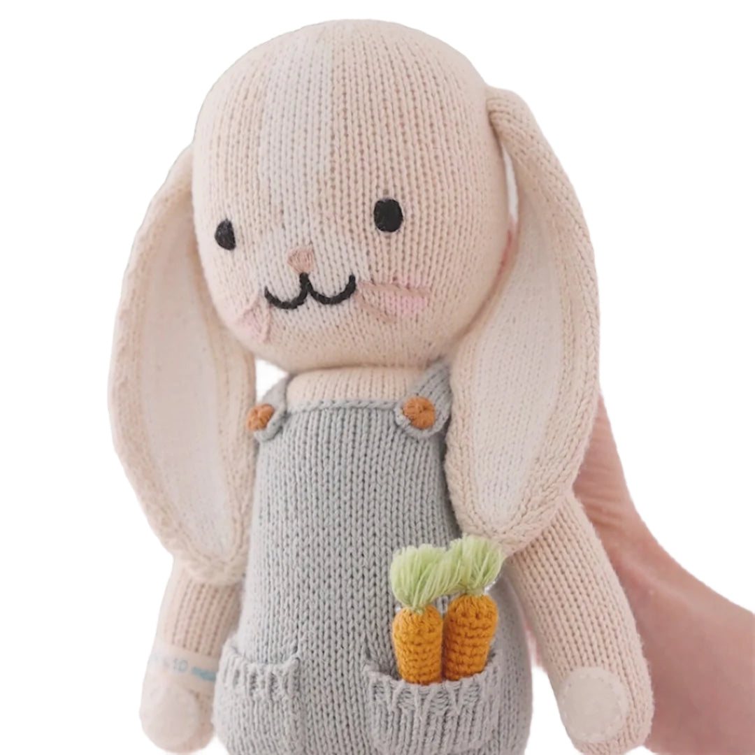 Hand-Knit Stuffed Henry the Bunny